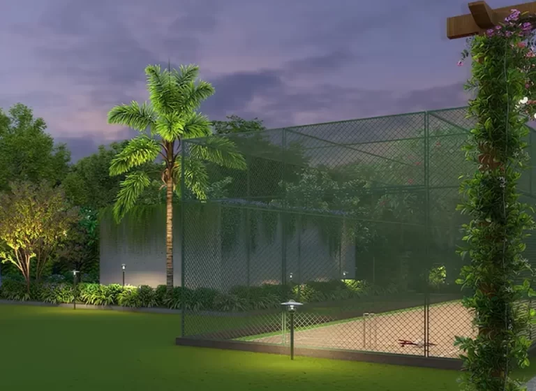 Cricket Net